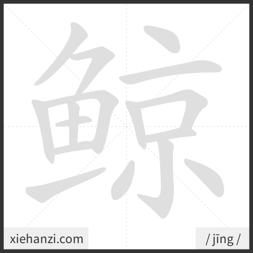 Ảnh động thứ tự nét chữ 鲸 - cách viết từng nét