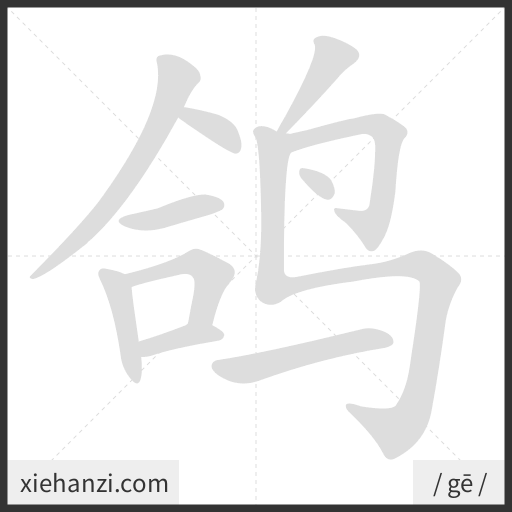 Ảnh động thứ tự nét chữ 鸽 - cách viết từng nét