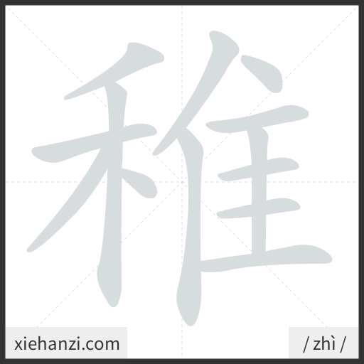 Ảnh động thứ tự nét chữ 稚 - cách viết từng nét