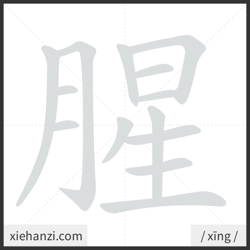 Ảnh động thứ tự nét chữ 腥 - cách viết từng nét