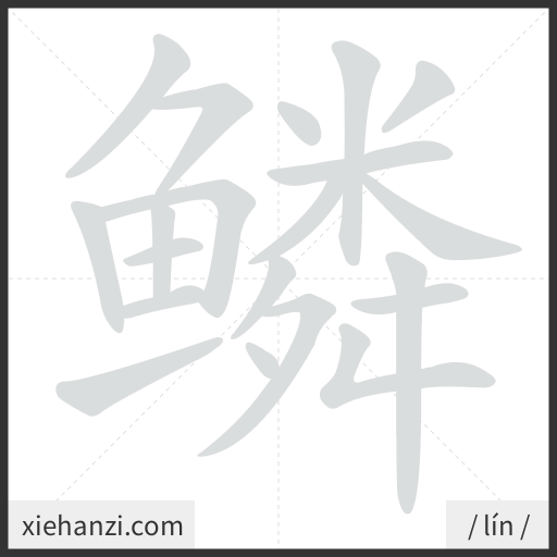 Ảnh động thứ tự nét chữ 鳞 - cách viết từng nét