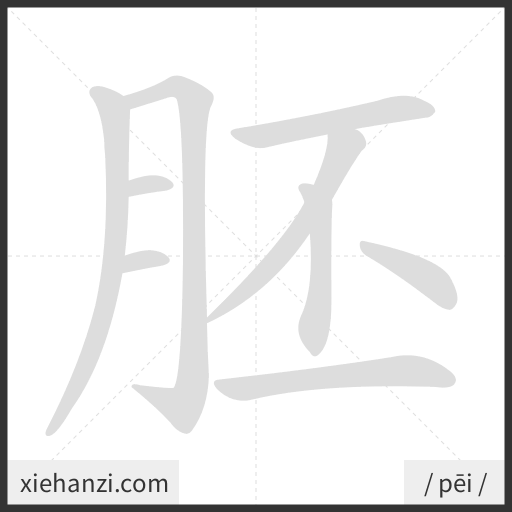 Ảnh động thứ tự nét chữ 胚 - cách viết từng nét