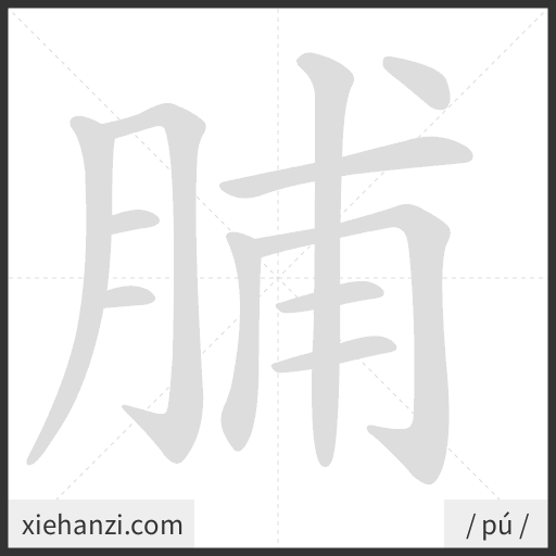 Ảnh động thứ tự nét chữ 脯 - cách viết từng nét