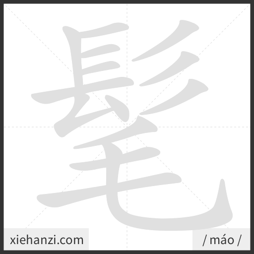 Ảnh động thứ tự nét chữ 髦 - cách viết từng nét