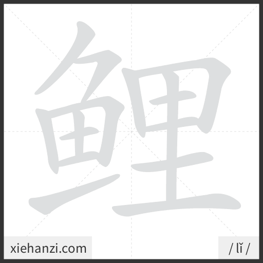 Ảnh động thứ tự nét chữ 鲤 - cách viết từng nét