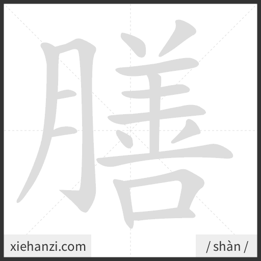 Ảnh động thứ tự nét chữ 膳 - cách viết từng nét