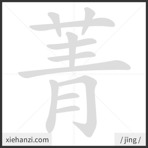 Ảnh động thứ tự nét chữ 菁 - cách viết từng nét