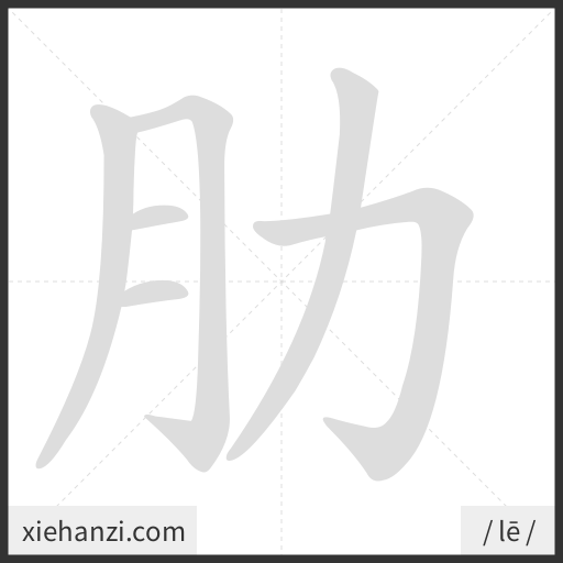 Ảnh động thứ tự nét chữ 肋 - cách viết từng nét