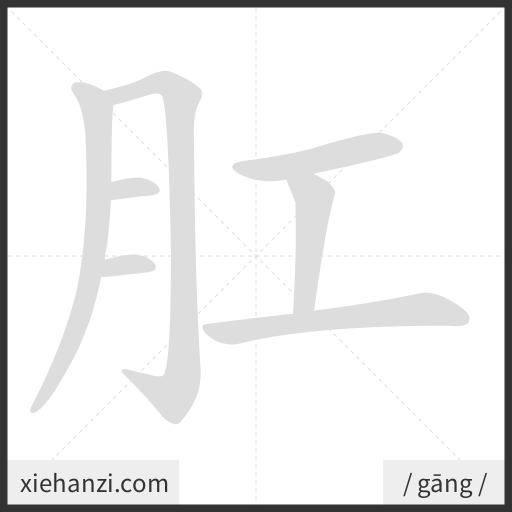 Ảnh động thứ tự nét chữ 肛 - cách viết từng nét