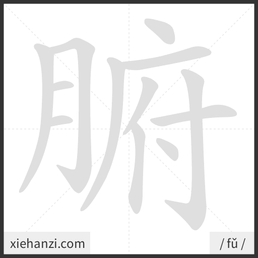 Ảnh động thứ tự nét chữ 腑 - cách viết từng nét