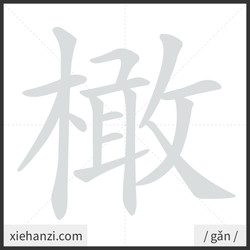Ảnh động thứ tự nét chữ 橄 - cách viết từng nét