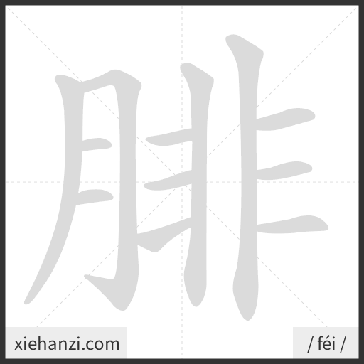 Ảnh động thứ tự nét chữ 腓 - cách viết từng nét