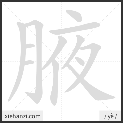 Ảnh động thứ tự nét chữ 腋 - cách viết từng nét