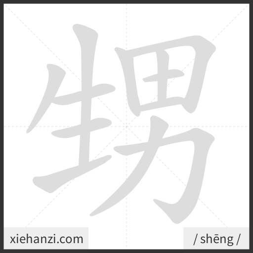 Ảnh động thứ tự nét chữ 甥 - cách viết từng nét