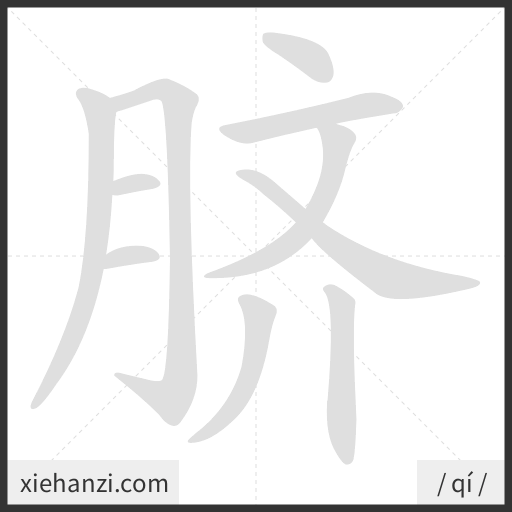Ảnh động thứ tự nét chữ 脐 - cách viết từng nét