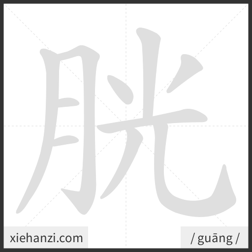 Ảnh động thứ tự nét chữ 胱 - cách viết từng nét