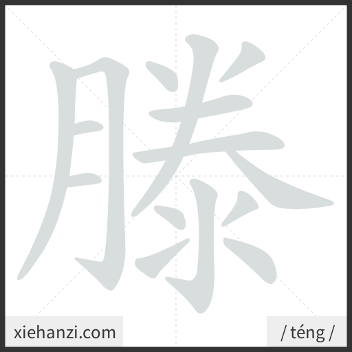 Ảnh động thứ tự nét chữ 滕 - cách viết từng nét