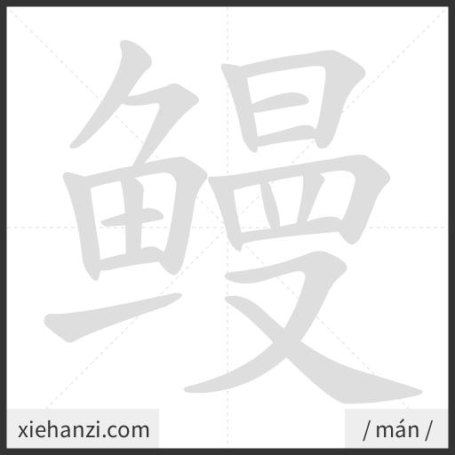Ảnh động thứ tự nét chữ 鳗 - cách viết từng nét