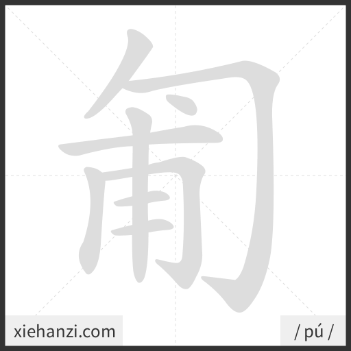 Ảnh động thứ tự nét chữ 匍 - cách viết từng nét