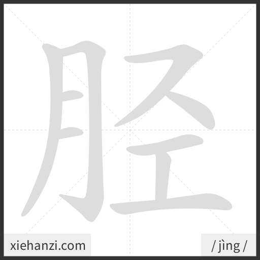 Ảnh động thứ tự nét chữ 胫 - cách viết từng nét