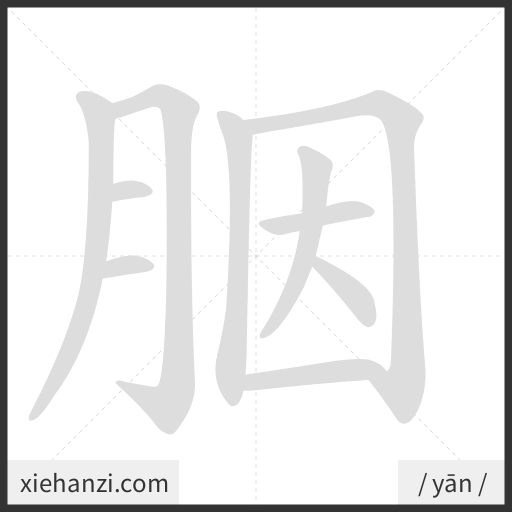 Ảnh động thứ tự nét chữ 胭 - cách viết từng nét