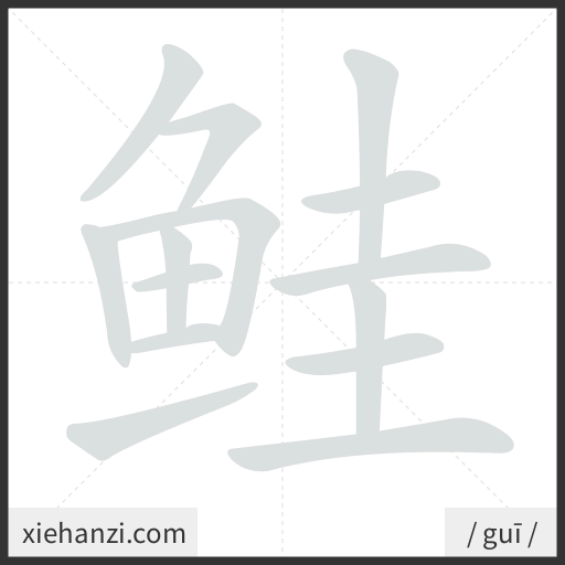 Ảnh động thứ tự nét chữ 鲑 - cách viết từng nét