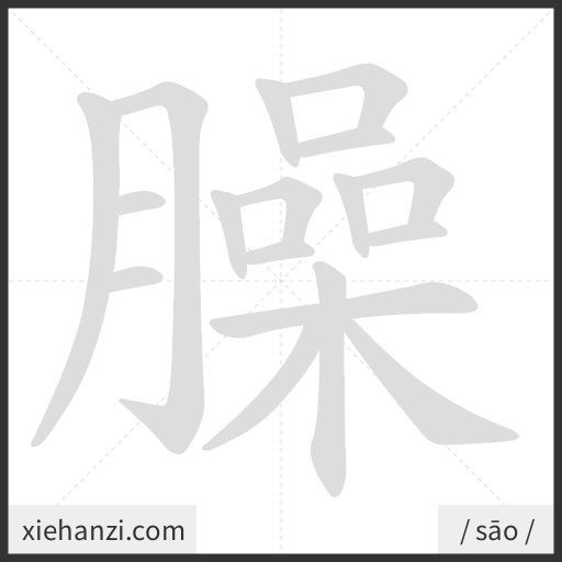 Ảnh động thứ tự nét chữ 臊 - cách viết từng nét