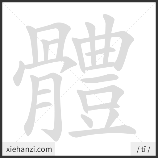 Ảnh động thứ tự nét chữ 體 - cách viết từng nét