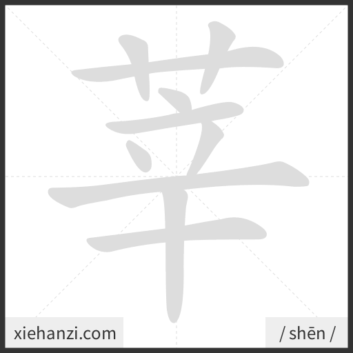 Ảnh động thứ tự nét chữ 莘 - cách viết từng nét