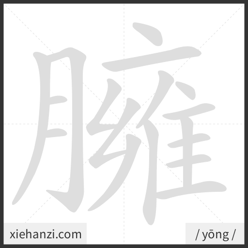 Ảnh động thứ tự nét chữ 臃 - cách viết từng nét