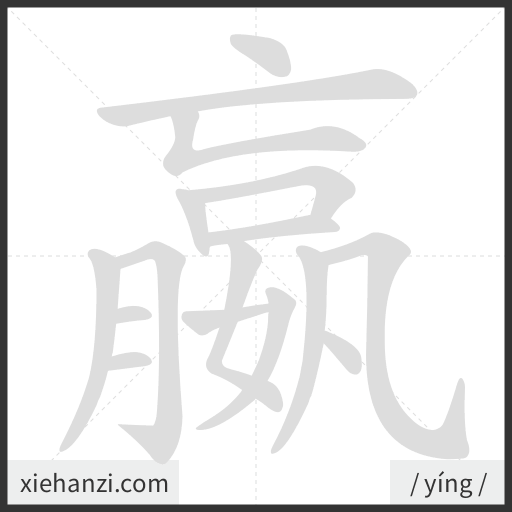 Ảnh động thứ tự nét chữ 嬴 - cách viết từng nét