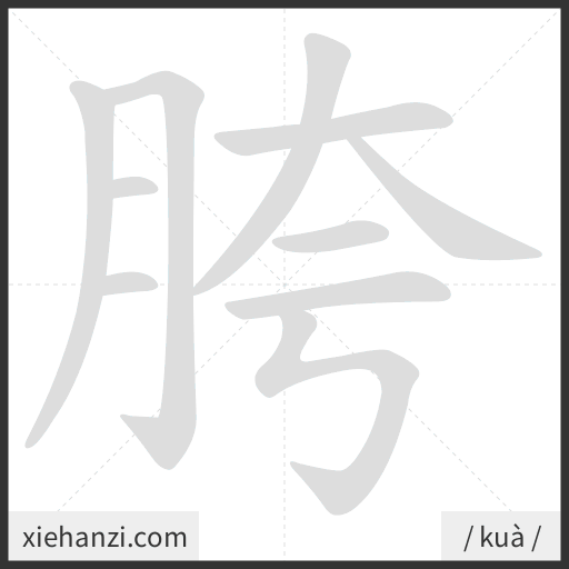 Ảnh động thứ tự nét chữ 胯 - cách viết từng nét