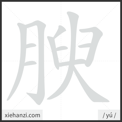 Ảnh động thứ tự nét chữ 腴 - cách viết từng nét