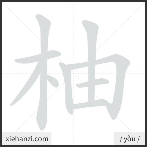 Ảnh động thứ tự nét chữ 柚 - cách viết từng nét