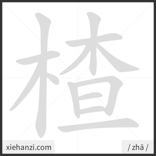 Ảnh động thứ tự nét chữ 楂 - cách viết từng nét