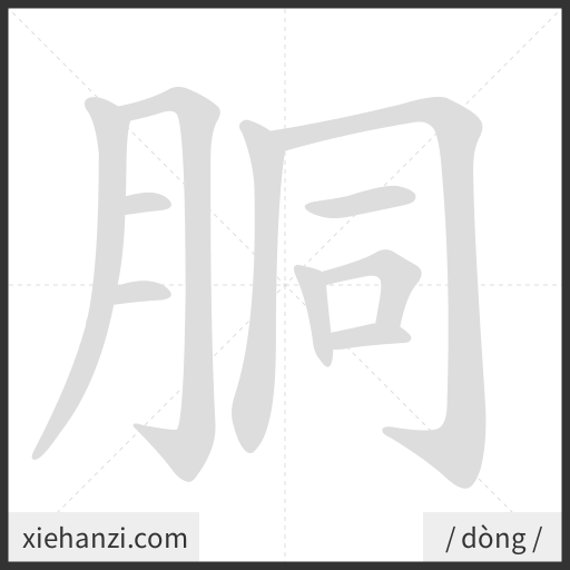 Ảnh động thứ tự nét chữ 胴 - cách viết từng nét