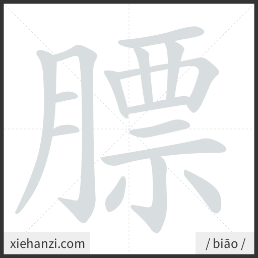 Ảnh động thứ tự nét chữ 膘 - cách viết từng nét