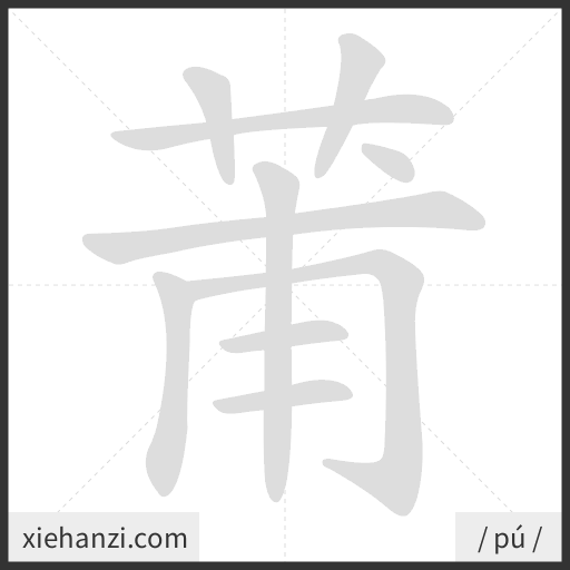 Ảnh động thứ tự nét chữ 莆 - cách viết từng nét