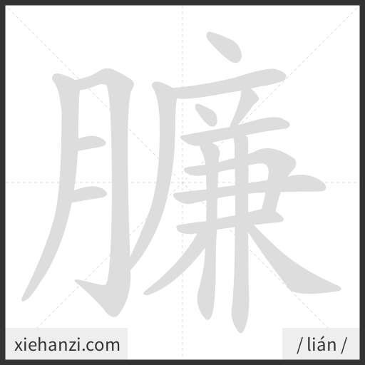 Ảnh động thứ tự nét chữ 臁 - cách viết từng nét