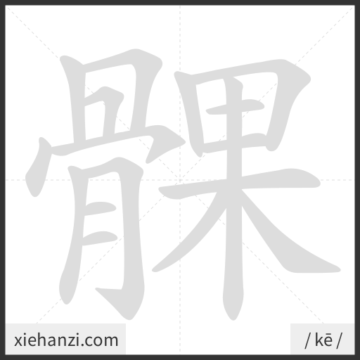 Ảnh động thứ tự nét chữ 髁 — cách viết từng nét