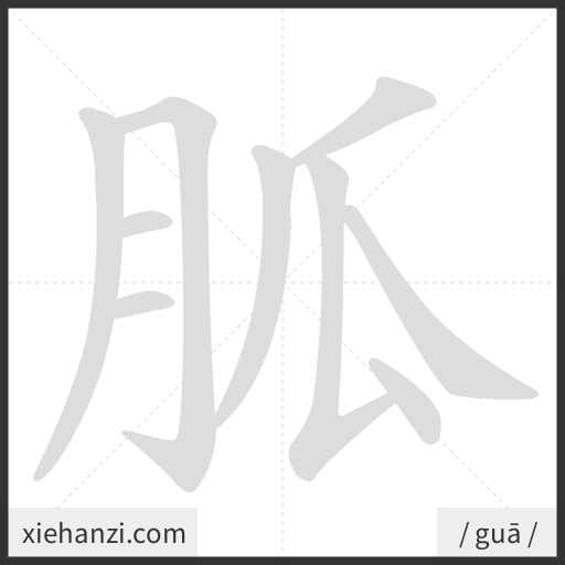 Ảnh động thứ tự nét chữ 胍 - cách viết từng nét