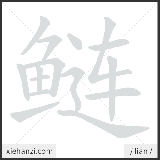 Ảnh động thứ tự nét chữ 鲢 - cách viết từng nét