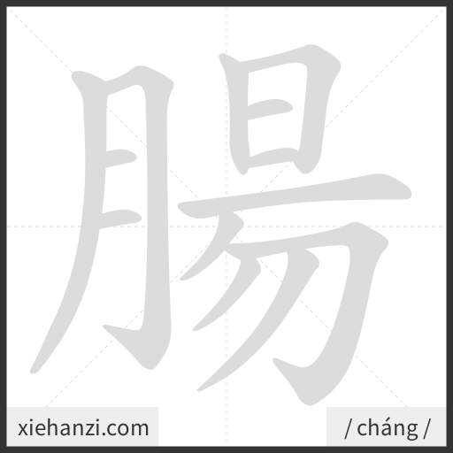 Ảnh động thứ tự nét chữ 腸 — cách viết từng nét