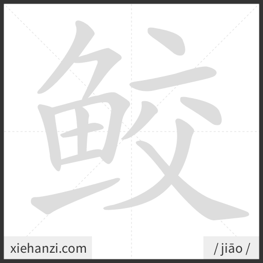 Ảnh động thứ tự nét chữ 鲛 - cách viết từng nét