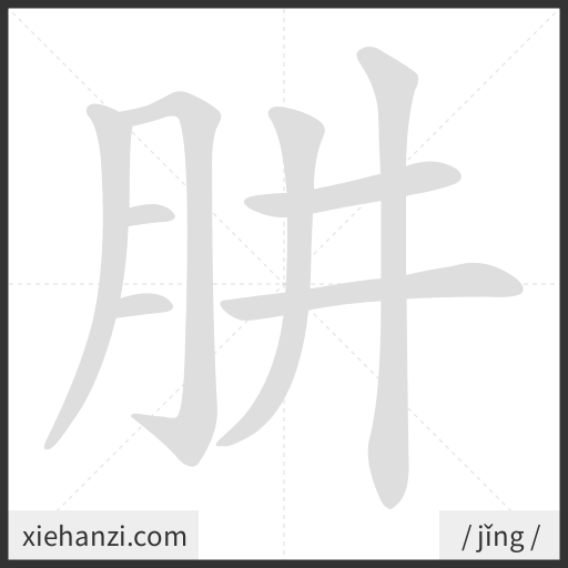 Ảnh động thứ tự nét chữ 肼 - cách viết từng nét