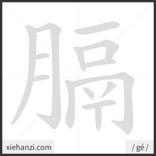 Ảnh động thứ tự nét chữ 膈 - cách viết từng nét