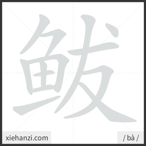Ảnh động thứ tự nét chữ 鲅 - cách viết từng nét