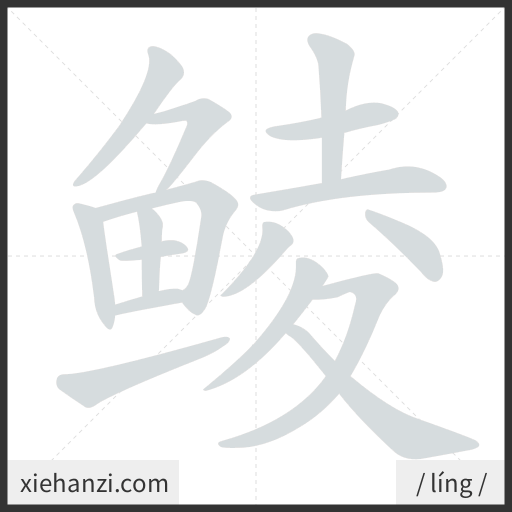 Ảnh động thứ tự nét chữ 鲮 - cách viết từng nét