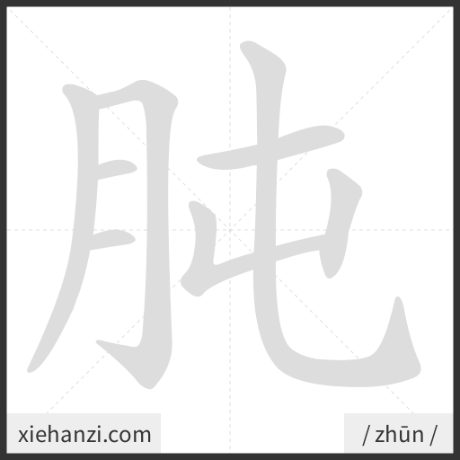 Ảnh động thứ tự nét chữ 肫 - cách viết từng nét