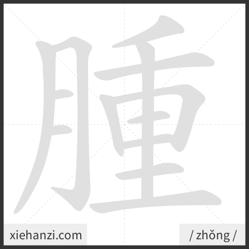 Ảnh động thứ tự nét chữ 腫 - cách viết từng nét